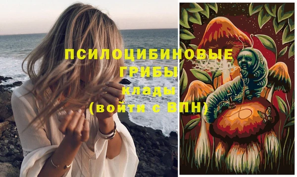 MDMA Краснослободск